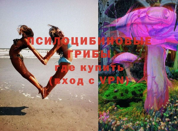 ГАЛЛЮЦИНОГЕННЫЕ ГРИБЫ Арсеньев