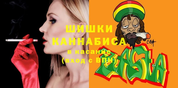 spice Аркадак