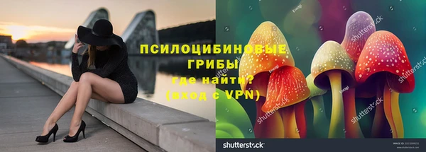 spice Аркадак