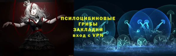 ГАЛЛЮЦИНОГЕННЫЕ ГРИБЫ Арсеньев