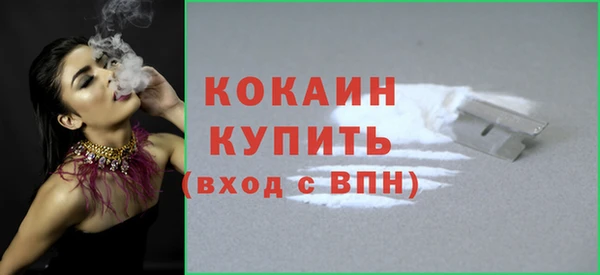 spice Аркадак