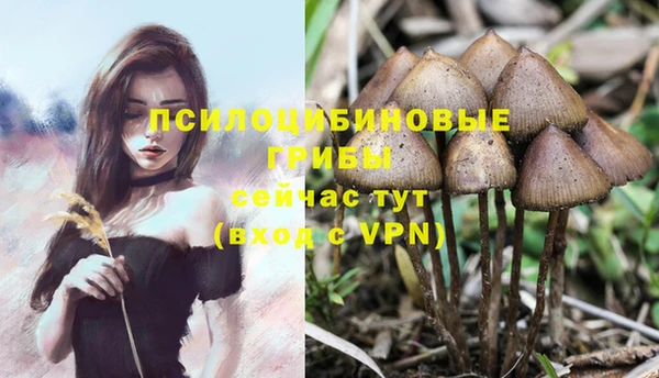 ГАЛЛЮЦИНОГЕННЫЕ ГРИБЫ Арсеньев