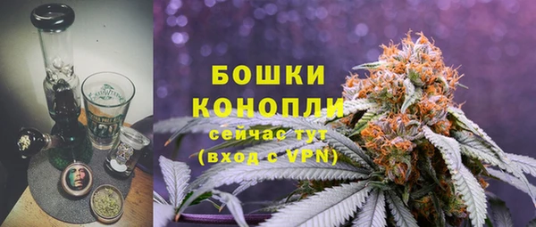 ГАЛЛЮЦИНОГЕННЫЕ ГРИБЫ Арсеньев