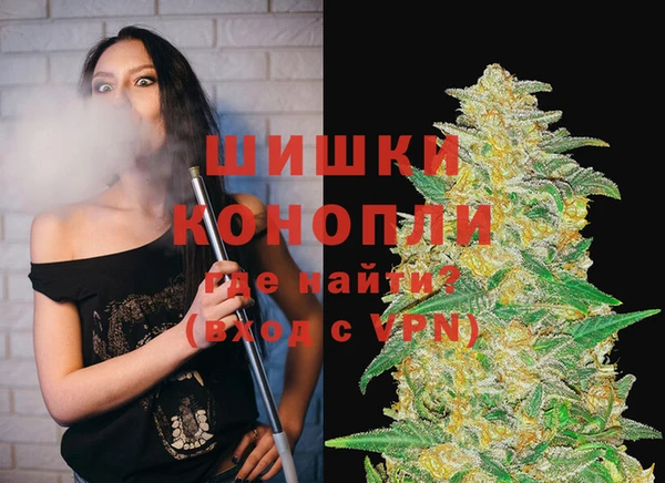 ГАЛЛЮЦИНОГЕННЫЕ ГРИБЫ Арсеньев
