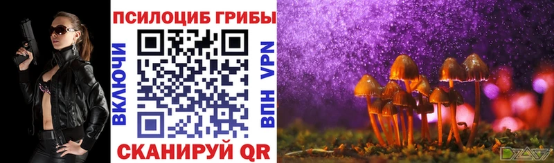 Псилоцибиновые грибы GOLDEN TEACHER  Кунгур 