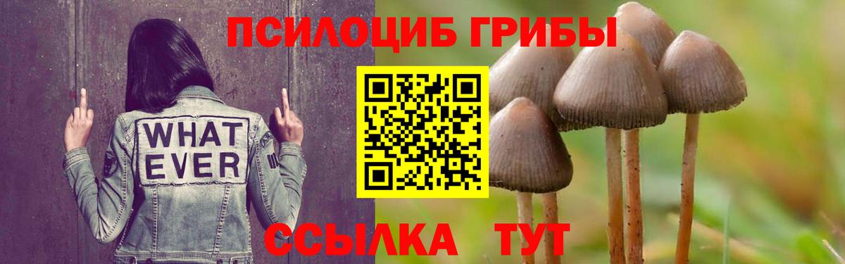 Галлюциногенные грибы мицелий Кунгур